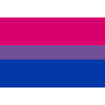 Bisexual pride flag 2:3 rectangular